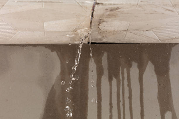 Professional Flood Damage Cleanup technician working in Nehawka, NE